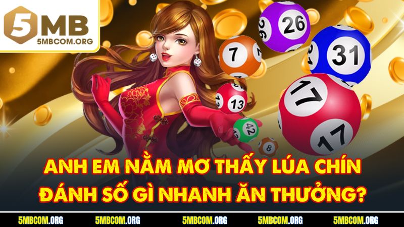 Anh em nằm mơ thấy lúa chín đánh số gì nhanh ăn thưởng?