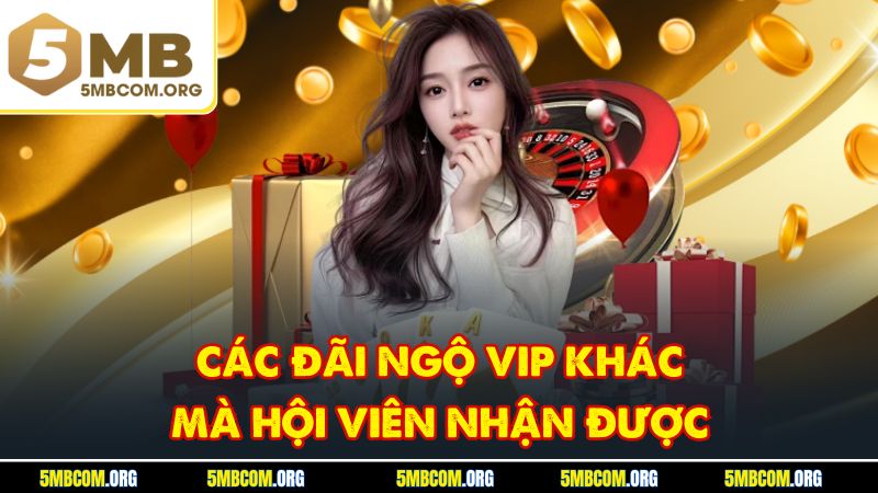 Các đãi ngộ VIP khác mà hội viên nhận được