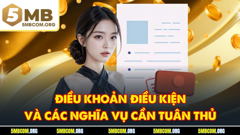 Điều khoản điều kiện và các nghĩa vụ cần tuân thủ