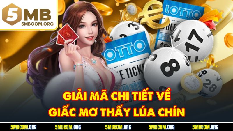 Giải mã chi tiết về giấc mơ thấy lúa chín