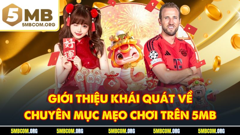 Giới thiệu khái quát về chuyên mục mẹo chơi trên 5MB