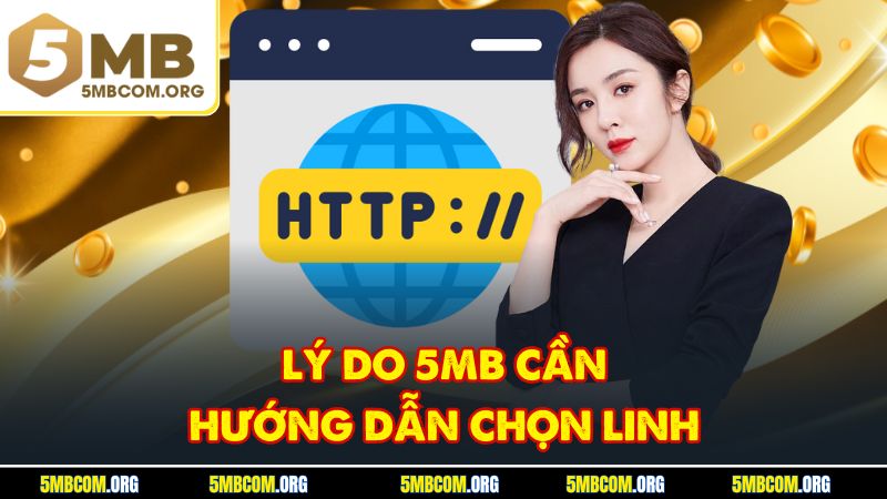 Lý do 5MB cần hướng dẫn chọn linh