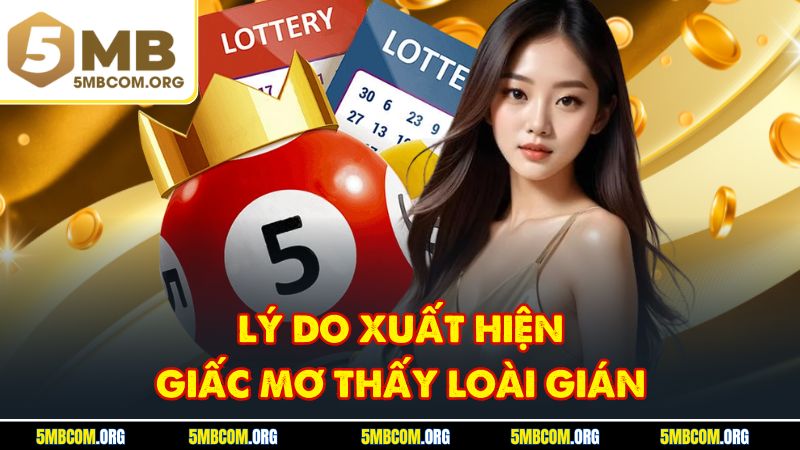 Lý do xuất hiện giấc mơ thấy loài gián