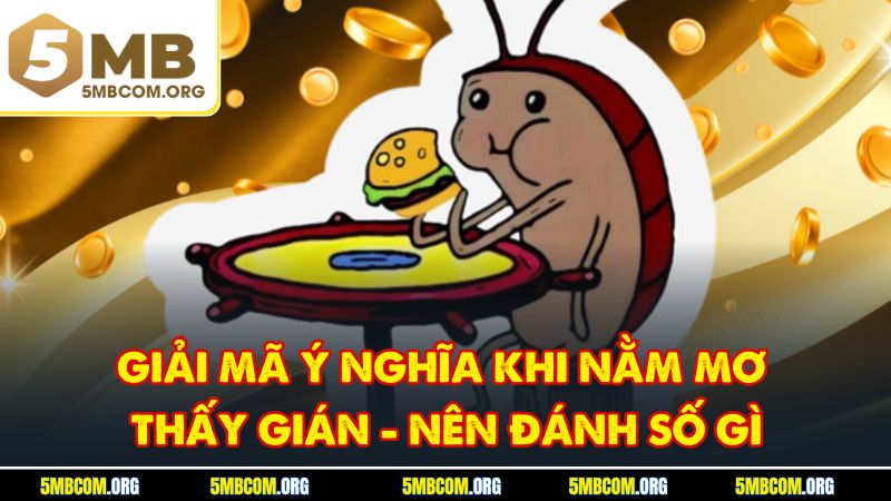 Giải Mã Ý Nghĩa Khi Nằm Mơ Thấy Gián - Nên Đánh Số Gì